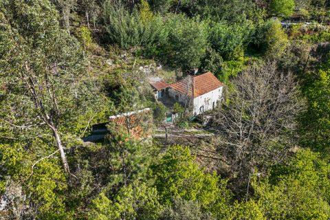 Villa a Terras de Bouro, Braga, Terras de Bouro - € 84.900 | Ref: 126971023-12 - foto 2