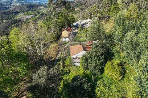 Villa a Terras de Bouro, Braga, Terras de Bouro - € 84.900 | Ref: 126971023-12 - foto 4