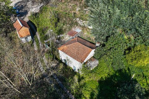 Villa a Terras de Bouro, Braga, Terras de Bouro - € 84.900 | Ref: 126971023-12 - foto 6