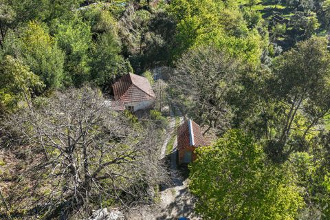 Villa a Terras de Bouro, Braga, Terras de Bouro - € 84.900 | Ref: 126971023-12 - foto 8
