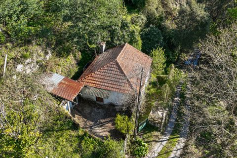 Villa a Terras de Bouro, Braga, Terras de Bouro - € 84.900 | Ref: 126971023-12 - foto 10