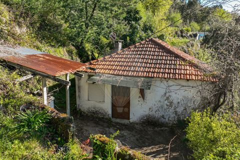 Villa a Terras de Bouro, Braga, Terras de Bouro - € 84.900 | Ref: 126971023-12 - foto 11