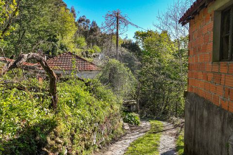 Villa a Terras de Bouro, Braga, Terras de Bouro - € 84.900 | Ref: 126971023-12 - foto 16