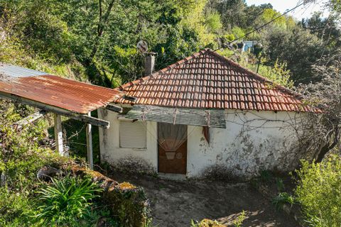 Villa a Terras de Bouro, Braga, Terras de Bouro - € 84.900 | Ref: 126971023-12 - foto 17