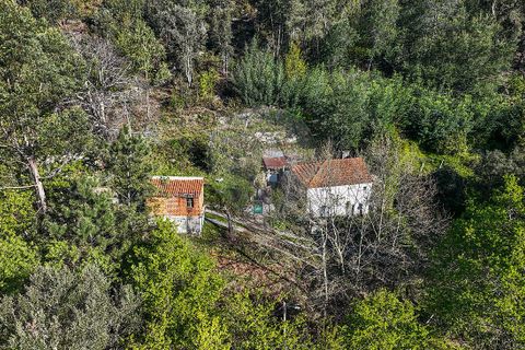 Villa a Terras de Bouro, Braga, Terras de Bouro - € 84.900 | Ref: 126971023-12 - foto 20