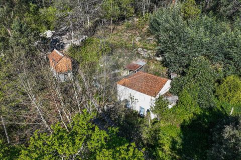Villa a Terras de Bouro, Braga, Terras de Bouro - € 84.900 | Ref: 126971023-12 - foto 22