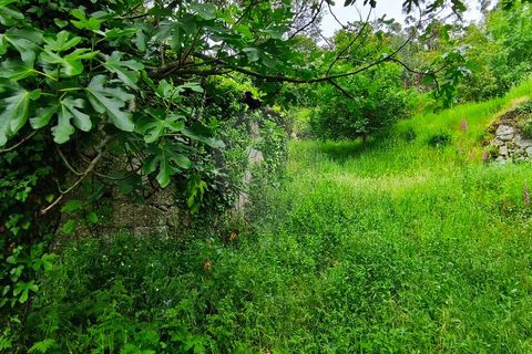 Villa i Vila Verde, Braga, Vila Verde - € 149.500 | Ref: 126971021-33 - foto 11