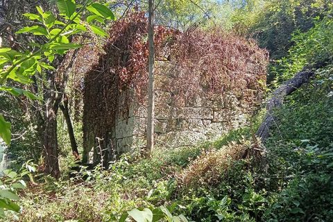 Farm i Terras de Bouro, Braga, Terras de Bouro - € 247.500 | Ref: 126971021-34 - foto 4