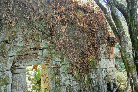 Farm i Terras de Bouro, Braga, Terras de Bouro - € 247.500 | Ref: 126971021-34 - foto 5