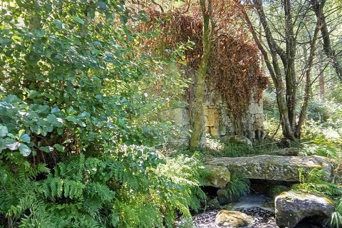 Farm i Terras de Bouro, Braga, Terras de Bouro - € 247.500 | Ref: 126971021-34 - foto 8