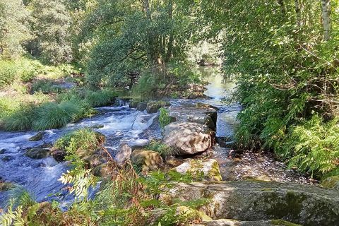 Farm i Terras de Bouro, Braga, Terras de Bouro - € 247.500 | Ref: 126971021-34 - foto 9