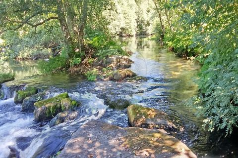 Farm i Terras de Bouro, Braga, Terras de Bouro - € 247.500 | Ref: 126971021-34 - foto 10