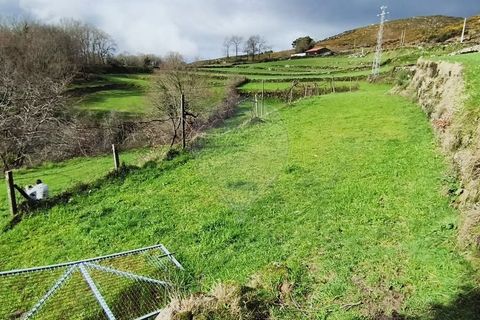 Terra a Terras de Bouro, Braga, Terras de Bouro - € 12.500 | Ref: 126971023-3 - foto 4
