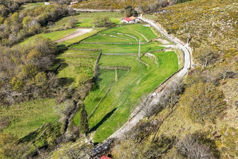 Terra a Terras de Bouro, Braga, Terras de Bouro - € 12.500 | Ref: 126971023-3 - foto 5