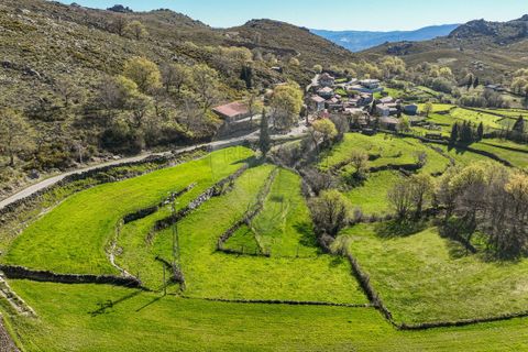 Terra a Terras de Bouro, Braga, Terras de Bouro - € 12.500 | Ref: 126971023-3 - foto 6