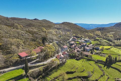 Terra a Terras de Bouro, Braga, Terras de Bouro - € 12.500 | Ref: 126971023-3 - foto 10