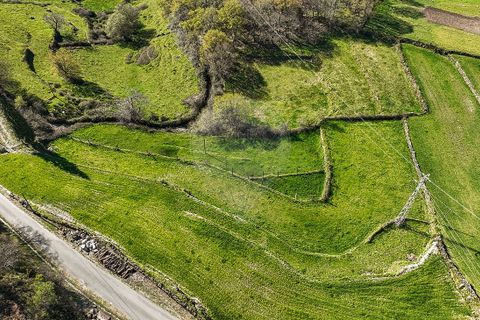 Terra a Terras de Bouro, Braga, Terras de Bouro - € 12.500 | Ref: 126971023-3 - foto 18
