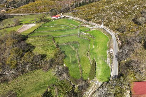 Terra a Terras de Bouro, Braga, Terras de Bouro - € 12.500 | Ref: 126971023-3 - foto 22