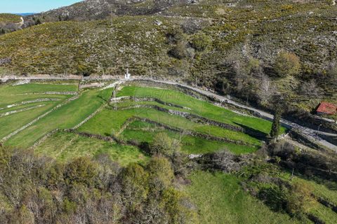 Terra a Terras de Bouro, Braga, Terras de Bouro - € 12.500 | Ref: 126971023-3 - foto 24