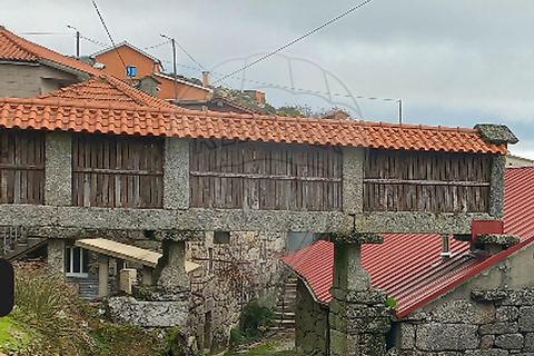 Terra a Terras de Bouro, Braga, Terras de Bouro - € 12.500 | Ref: 126971023-3 - foto 15