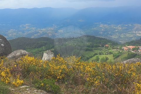 Terra a Terras de Bouro, Braga, Terras de Bouro - € 12.500 | Ref: 126971023-3 - foto 23
