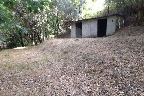 Helårsgrund i Amares, Braga, Amares - € 10.000 | Ref: 126971021-35 - foto 4