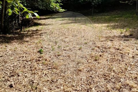 Helårsgrund i Amares, Braga, Amares - € 10.000 | Ref: 126971021-35 - foto 5