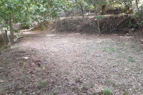 Helårsgrund i Amares, Braga, Amares - € 10.000 | Ref: 126971021-35 - foto 7