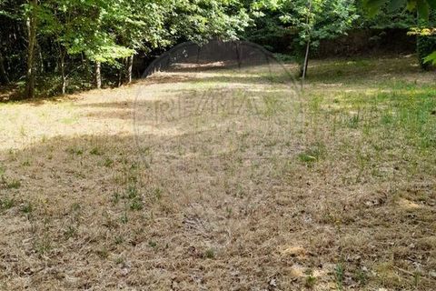Helårsgrund i Amares, Braga, Amares - € 10.000 | Ref: 126971021-35 - foto 9