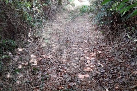 Helårsgrund i Amares, Braga, Amares - € 10.000 | Ref: 126971021-35 - foto 10