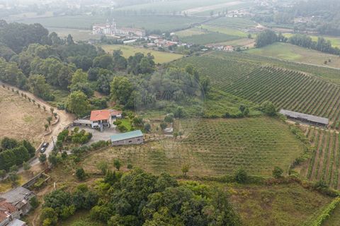 Villa a Amares, Braga, Amares - € 720.000 | Ref: 126971023-13 - foto 17