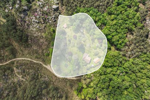 Villa a Terras de Bouro, Braga, Terras de Bouro - € 395.000 | Ref: 126971007-32 - foto 20