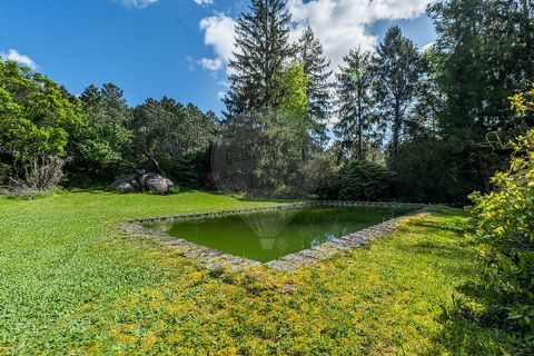 Villa a Terras de Bouro, Braga, Terras de Bouro - € 395.000 | Ref: 126971007-32 - foto 21