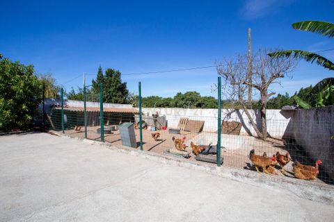 Villa i Bombarral, Leiria, Bombarral - € 895.000 | Ref: C0364-03686 - foto 42