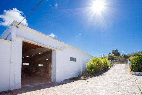 Villa i Bombarral, Leiria, Bombarral - € 895.000 | Ref: C0364-03686 - foto 50