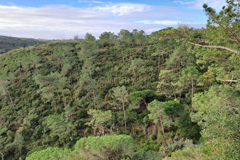 Helårsgrund i Mafra, Lisbon, Mafra - € 23.000 | Ref: C0364-04386 - foto 3