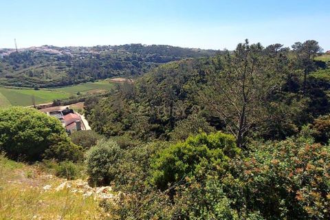 Helårsgrund i Mafra, Lisbon, Mafra - € 23.000 | Ref: C0364-04386 - foto 4