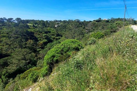Helårsgrund i Mafra, Lisbon, Mafra - € 23.000 | Ref: C0364-04386 - foto 6