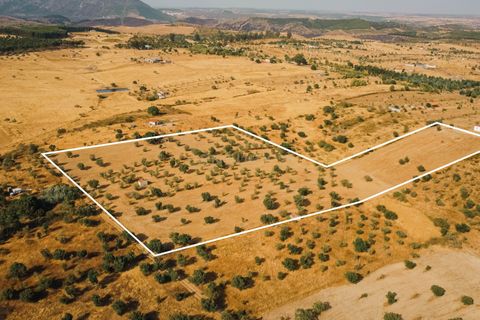 Grond in Nisa, Portalegre, Nisa - € 90.000 | Ref: C0364-04868 - foto 5