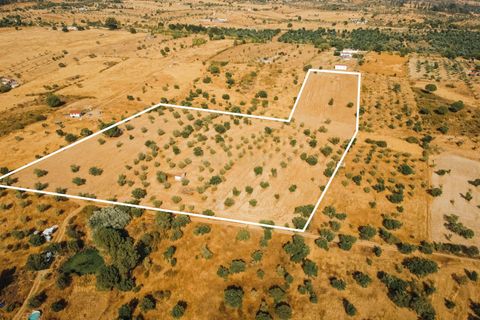 Grond in Nisa, Portalegre, Nisa - € 90.000 | Ref: C0364-04868 - foto 7