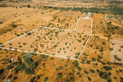 Grond in Nisa, Portalegre, Nisa - € 90.000 | Ref: C0364-04868 - foto 8