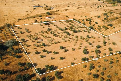 Grond in Nisa, Portalegre, Nisa - € 90.000 | Ref: C0364-04868 - foto 9
