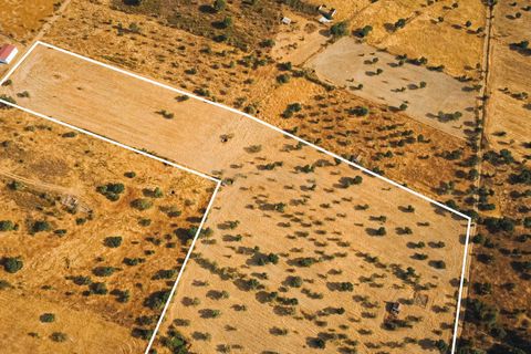 Grond in Nisa, Portalegre, Nisa - € 90.000 | Ref: C0364-04868 - foto 13