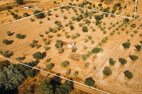 Grond in Nisa, Portalegre, Nisa - € 90.000 | Ref: C0364-04868 - foto 17