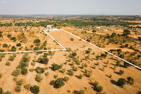 Grond in Nisa, Portalegre, Nisa - € 90.000 | Ref: C0364-04868 - foto 19