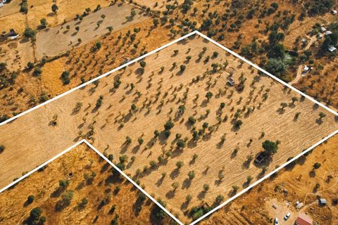 Grond in Nisa, Portalegre, Nisa - € 90.000 | Ref: C0364-04868 - foto 21