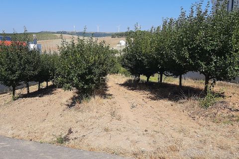 Helårsgrund i Torres Vedras, Lisbon, Torres Vedras - € 199.000 | Ref: C0364-04795 - foto 4