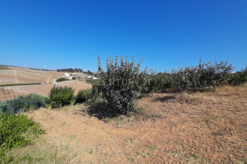 Helårsgrund i Torres Vedras, Lisbon, Torres Vedras - € 199.000 | Ref: C0364-04795 - foto 7