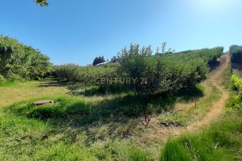 Helårsgrund i Torres Vedras, Lisbon, Torres Vedras - € 199.000 | Ref: C0364-04795 - foto 9