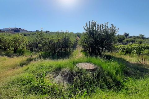 Helårsgrund i Torres Vedras, Lisbon, Torres Vedras - € 199.000 | Ref: C0364-04795 - foto 10
